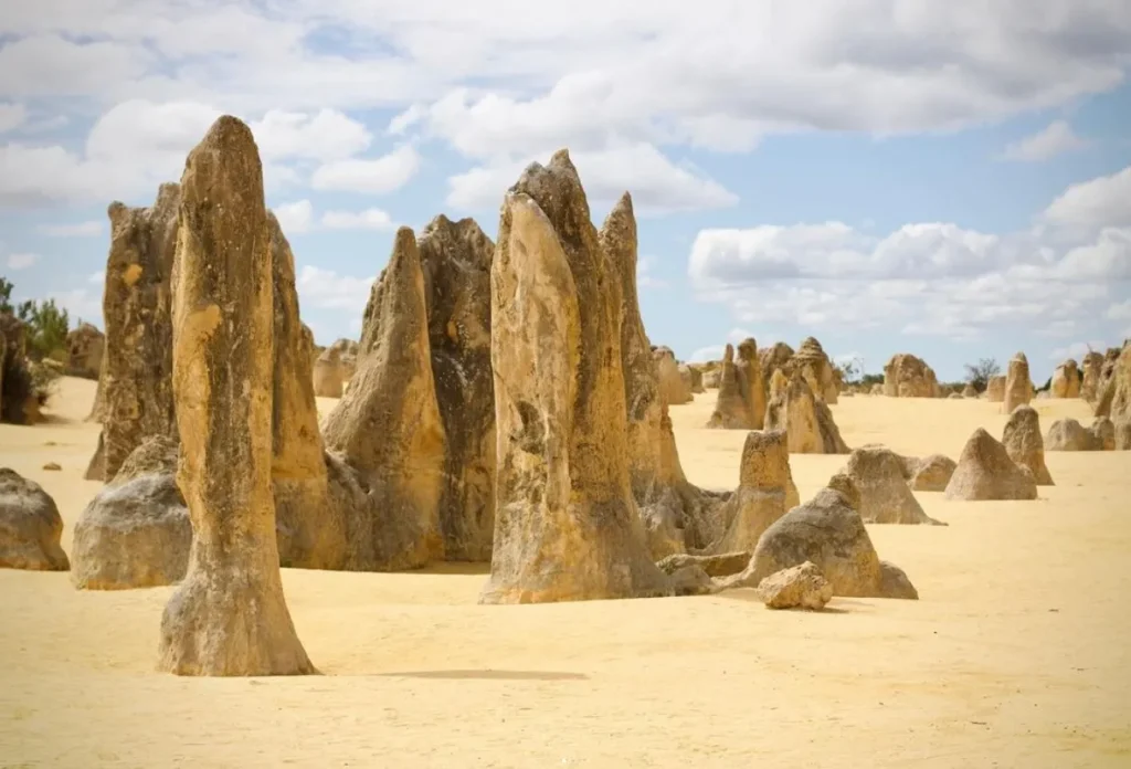 The Pinnacles Desert Lookout