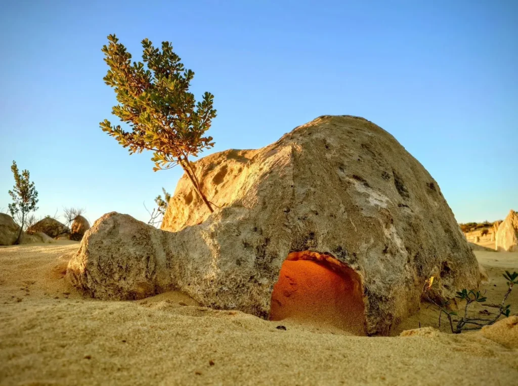 the Pinnacles in Western Australia