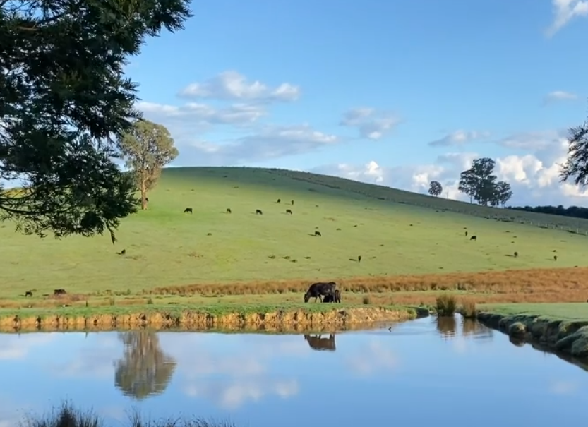 winery tours mornington peninsula