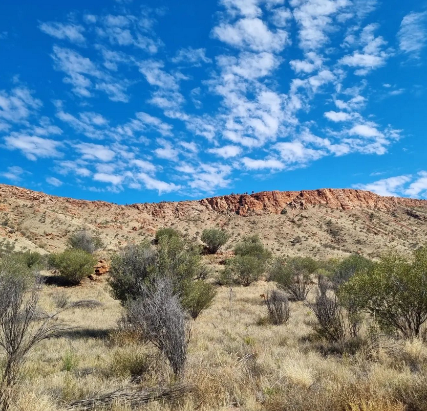 uluru day trip from alice springs