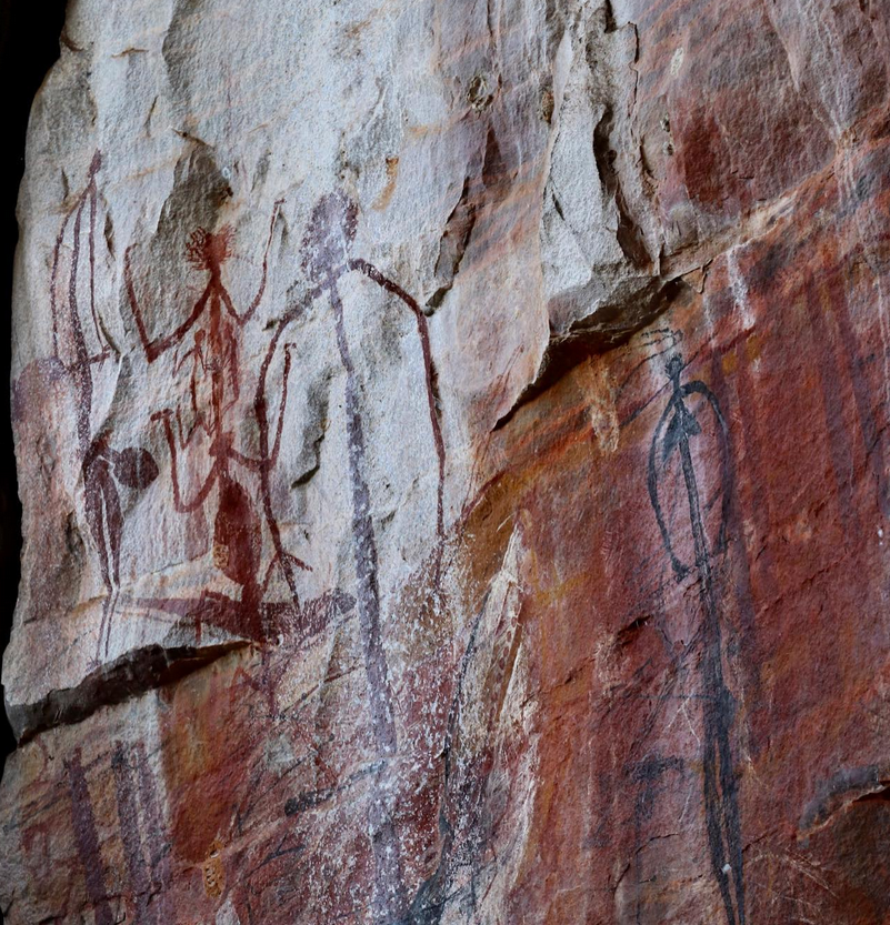 day trip darwin to kakadu