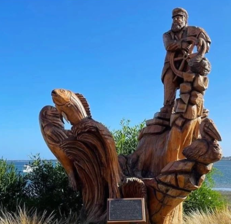 phillip island tours