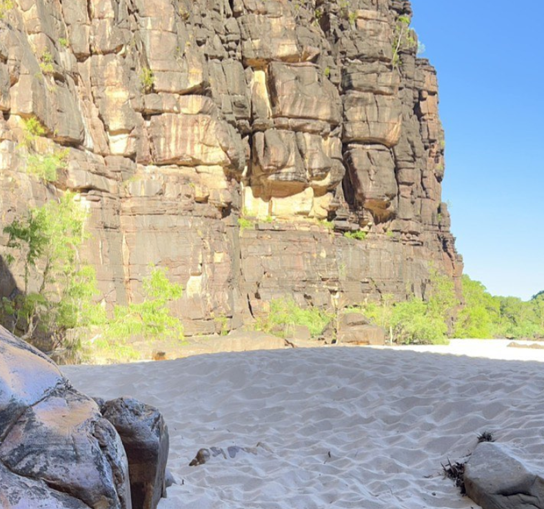darwin day trips to kakadu