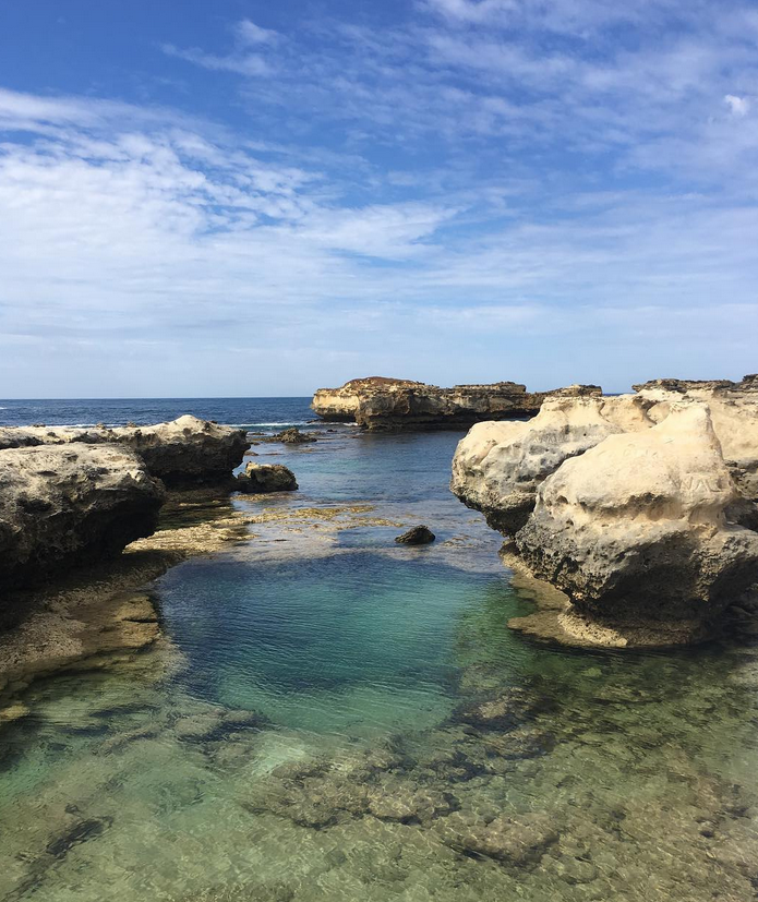 great ocean road tours