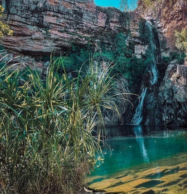 litchfield national park tours
