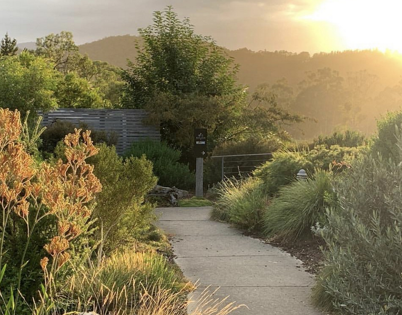 things to do yarra valley