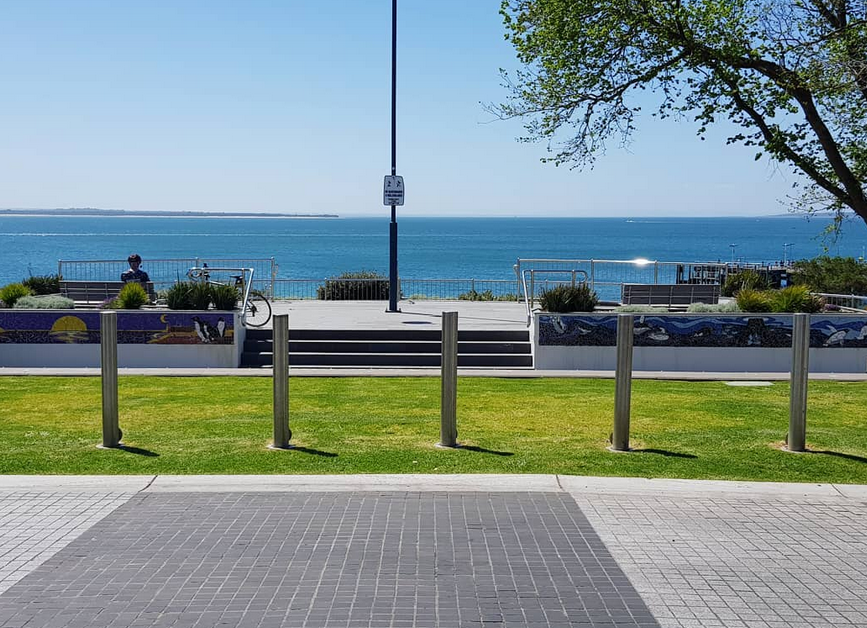 phillip island penguin tour