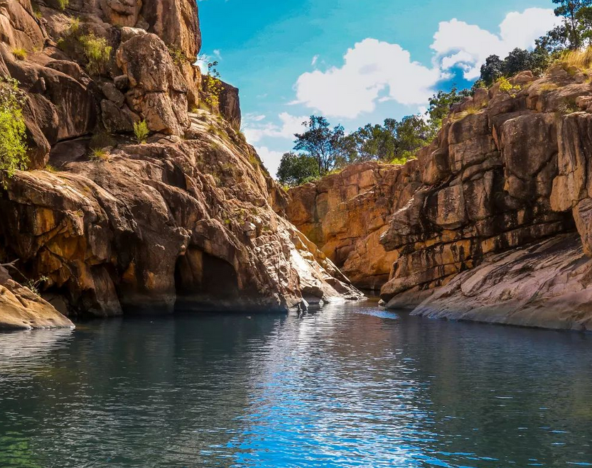 kakadu day trips from darwin