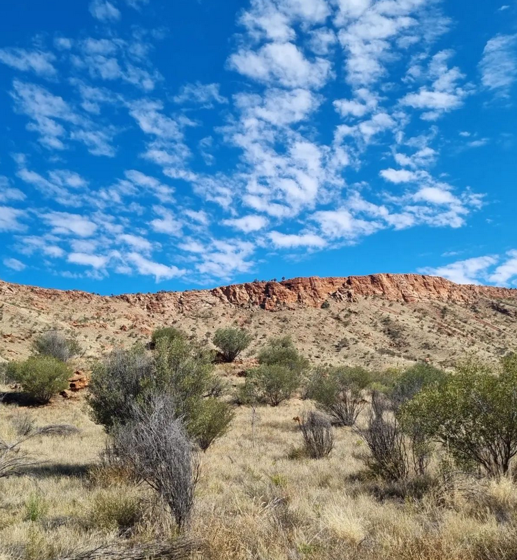 day tours alice springs