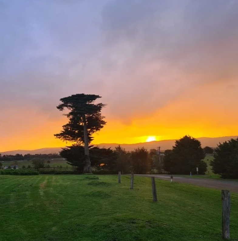 things to do in the yarra valley