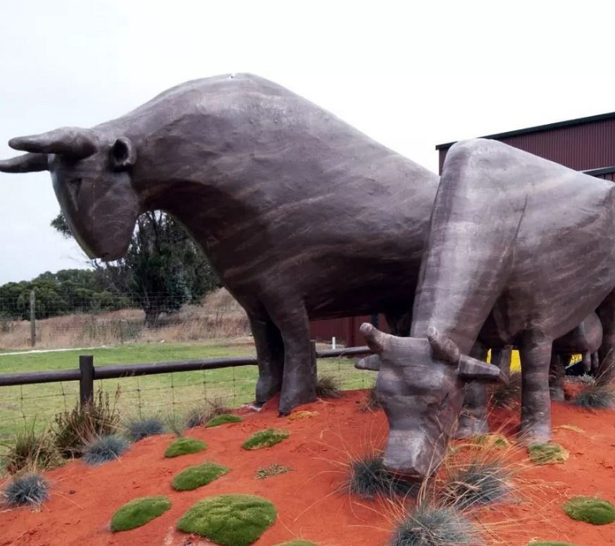 phillip island penguin tours