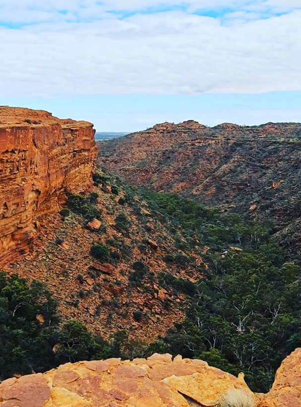 alice springs day tour