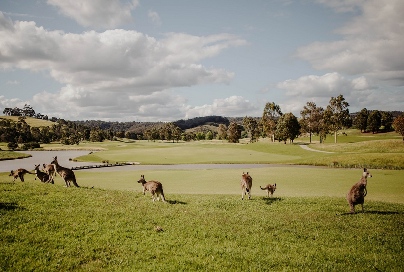 yarra valley day trip