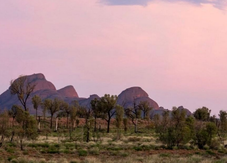 things to do in nt