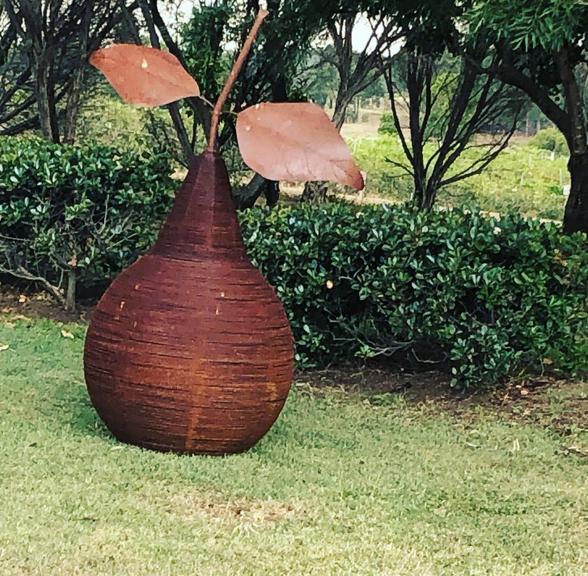 hunter valley wine tasting tour