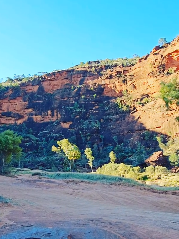 day tours from alice springs