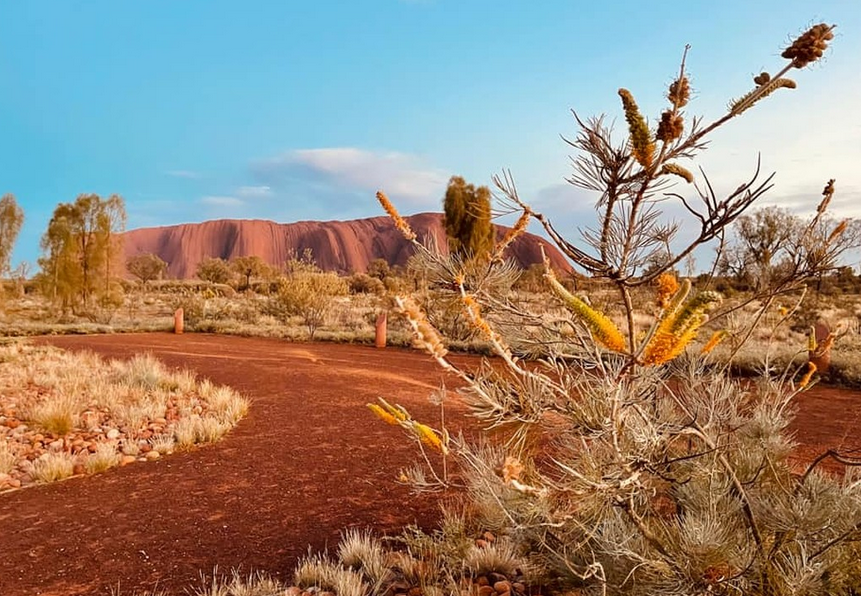 things to do around uluru