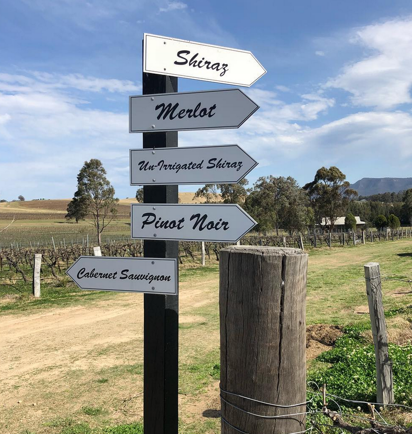 wine tasting tours hunter valley