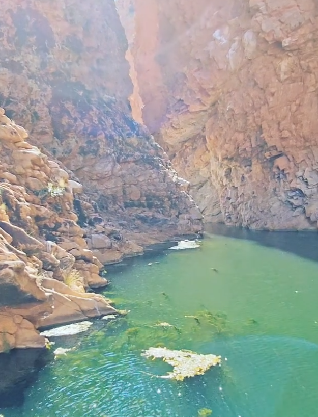 alice springs day trips