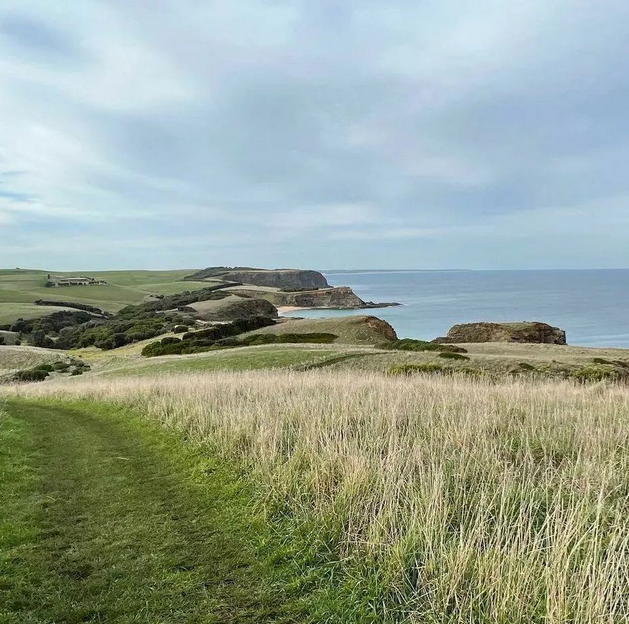 day trip phillip island