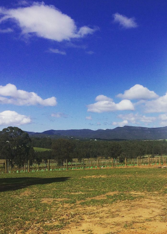 hunter valley wine tasting tours
