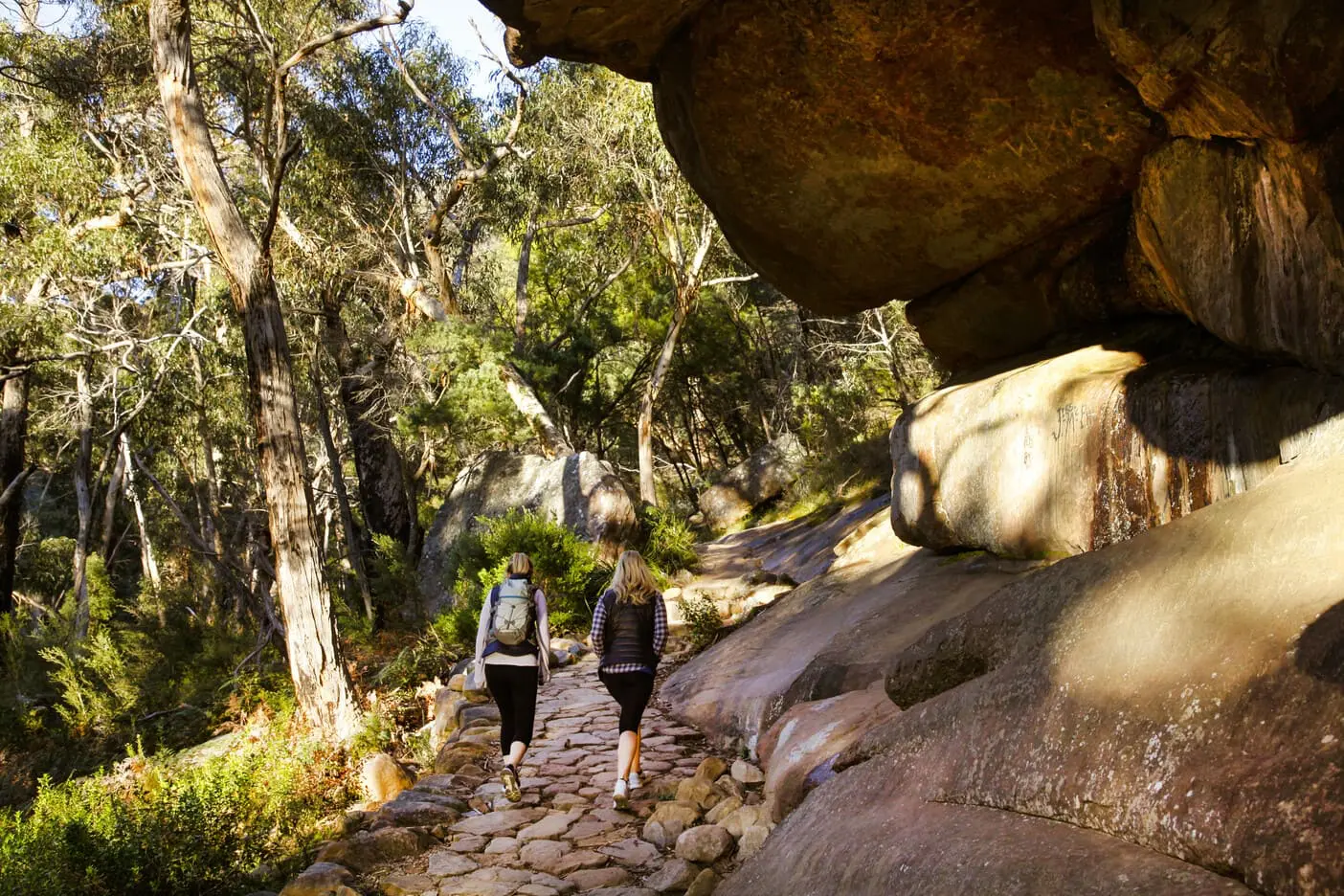 grampians day tour
