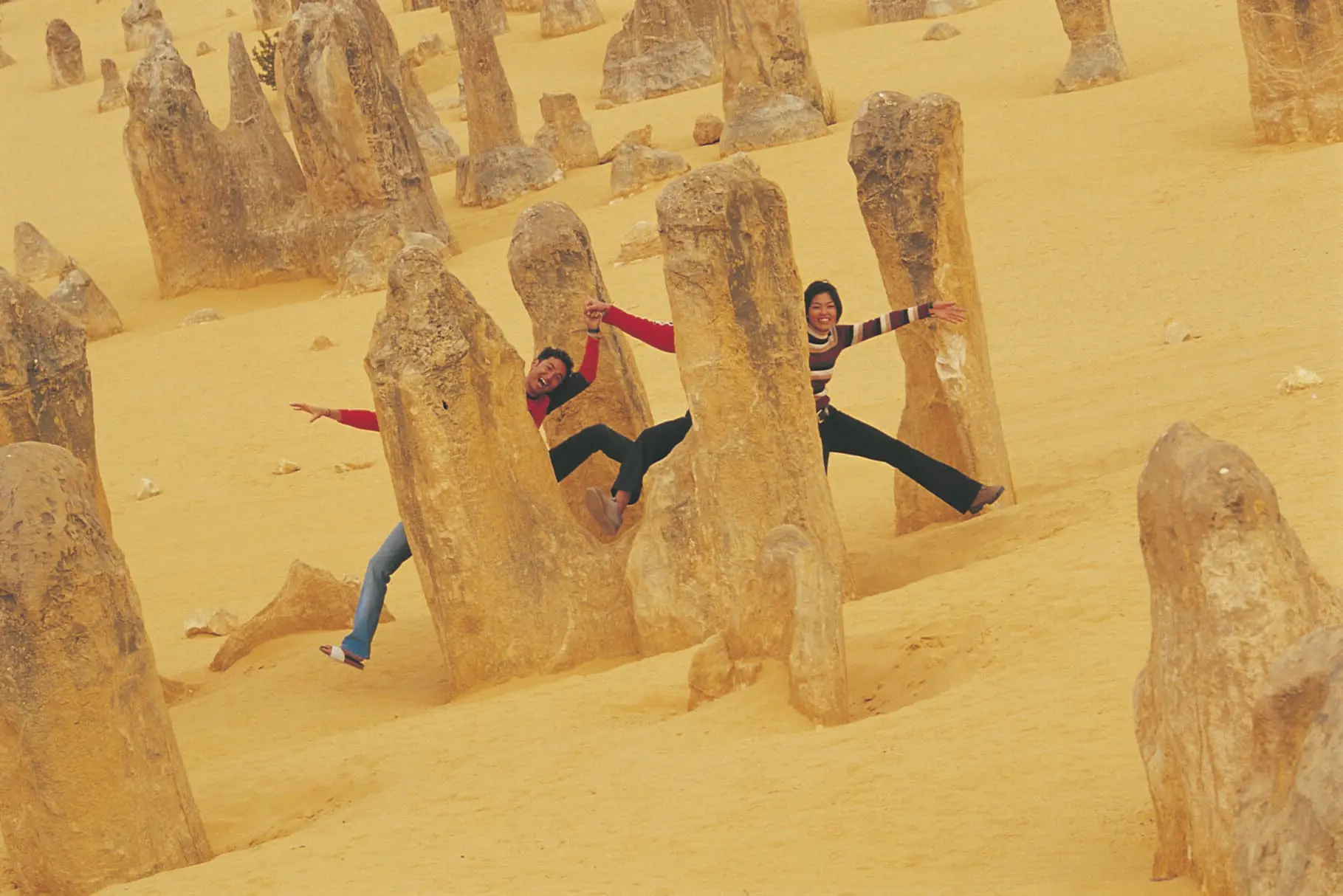 pinnacles day trip from perth