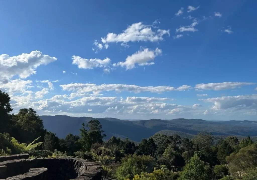 Blue Mountains Botanic Garden Mount Tomah