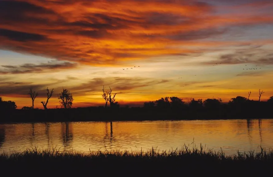 Exploring Kakadu's Rich Birdlife Top Spots for Birdwatching