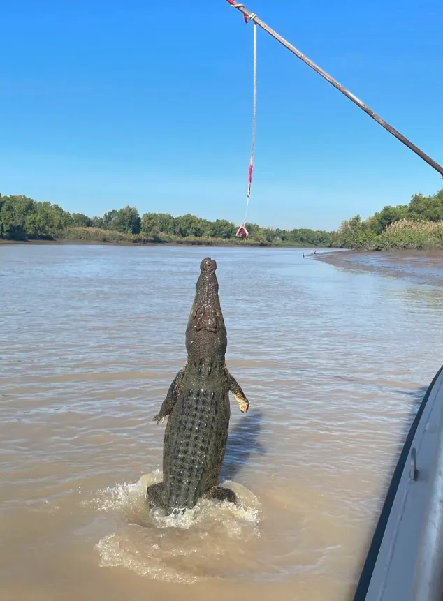 Jumping Crocodile Cruises