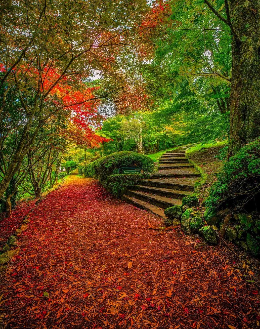 Breenhold Garden