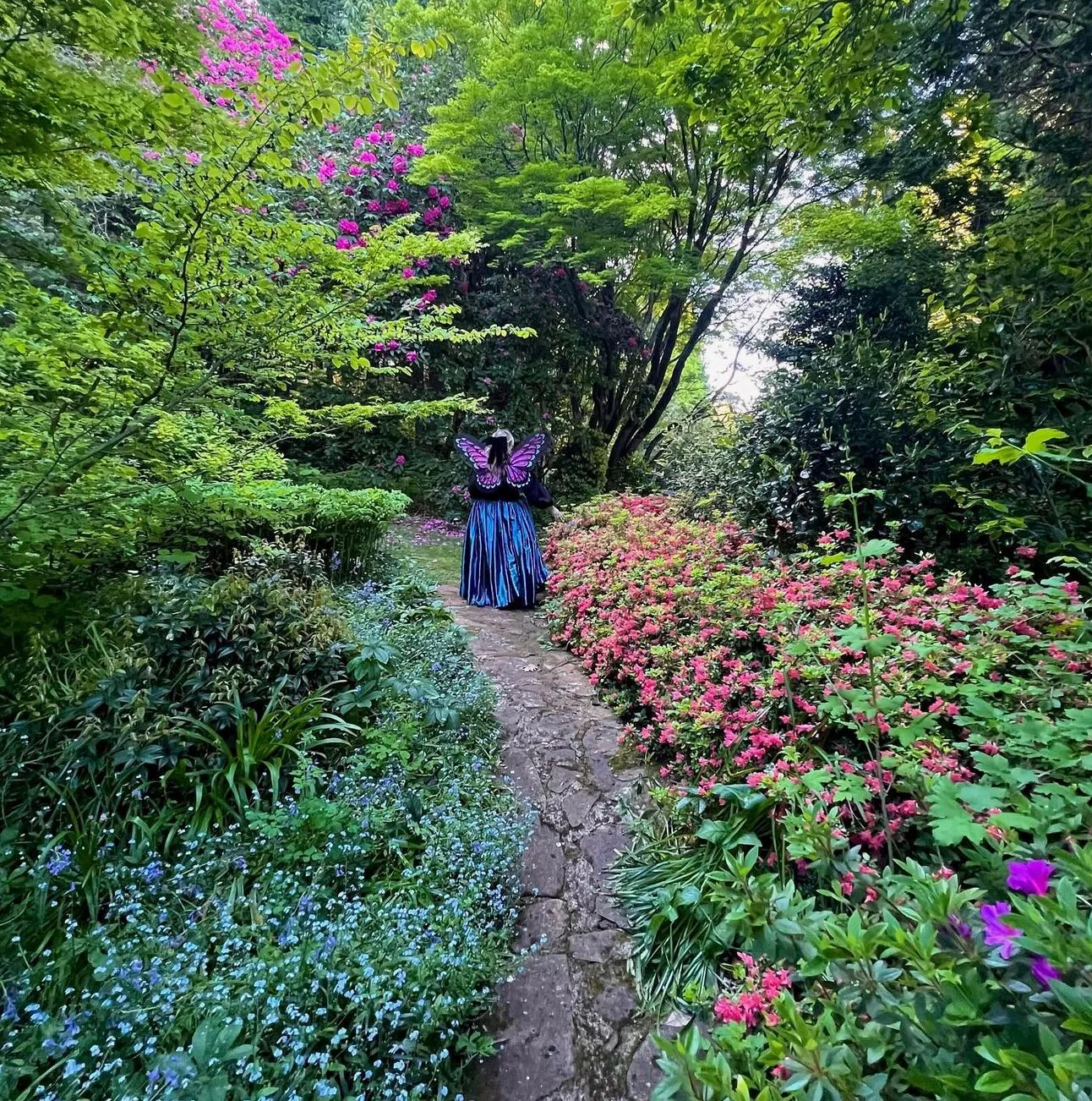 Nooroo Gardens
