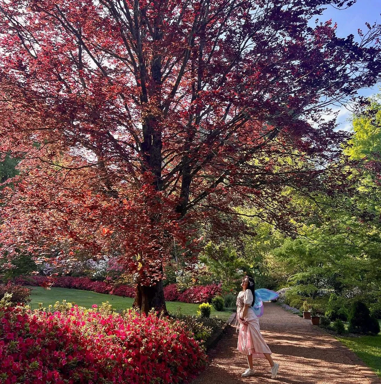 Photography Paradise, Nooroo Gardens