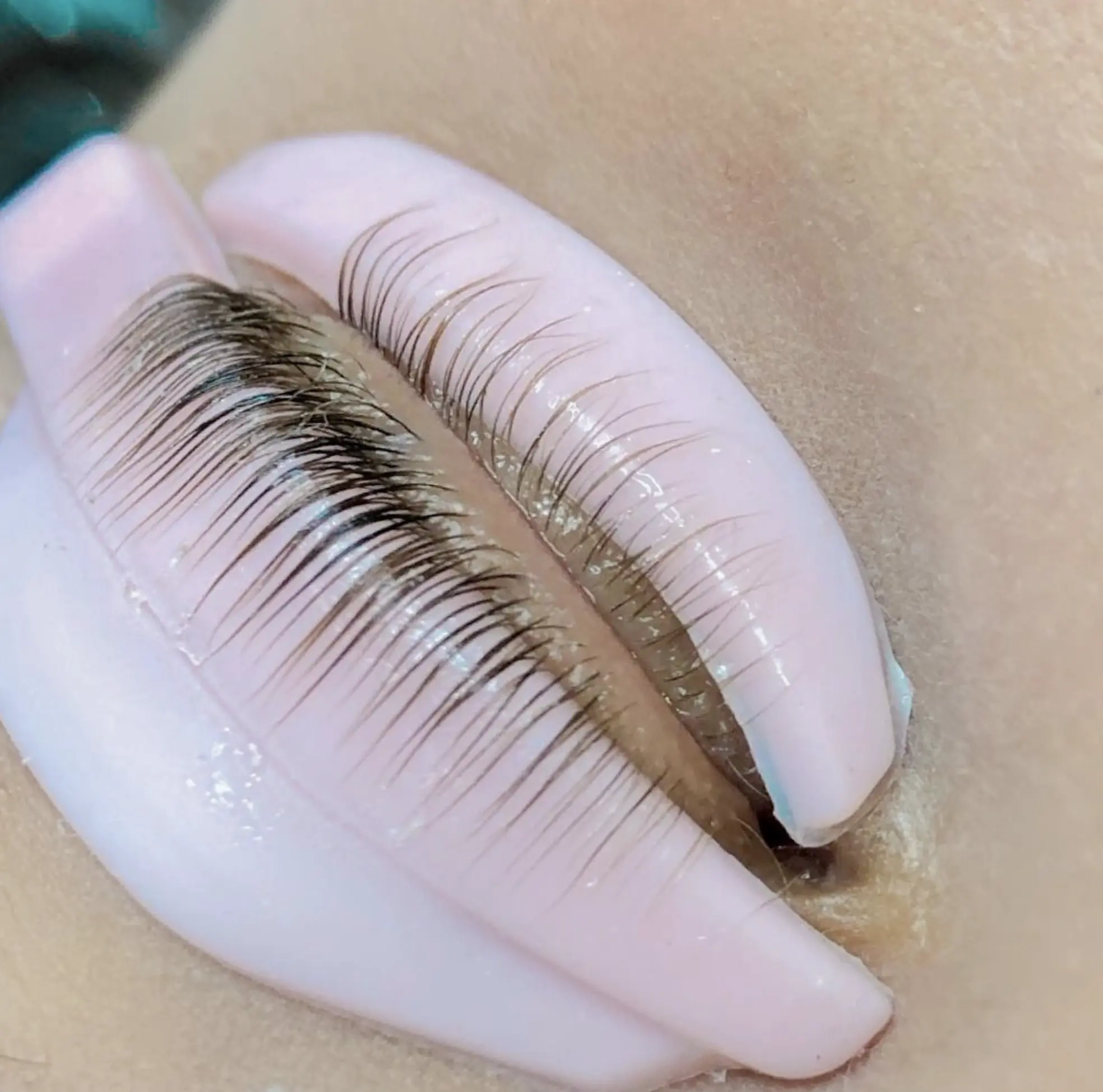 Beginner Lash Course