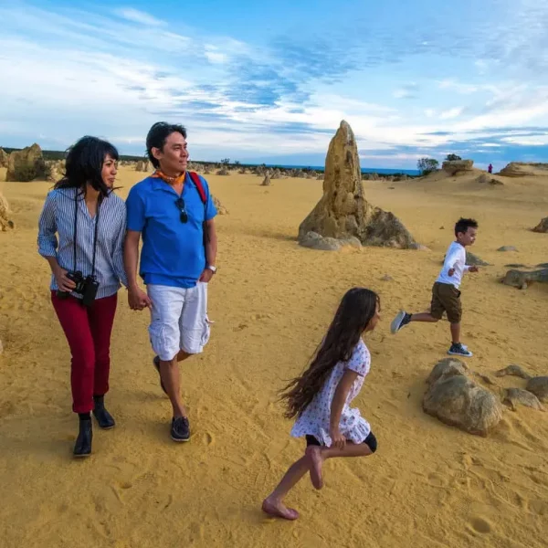 pinnacle tours