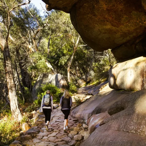 grampians day tour