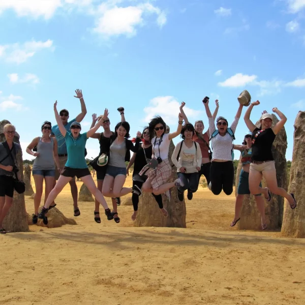 pinnacles tours